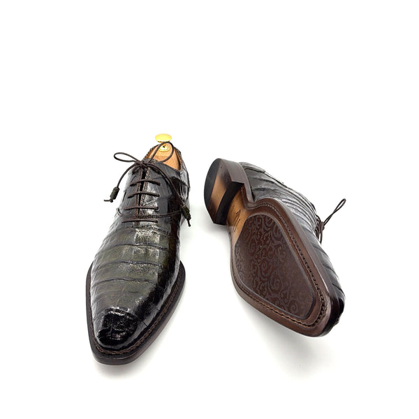 Mezlan Crocodile Oxford - Brown/Olive