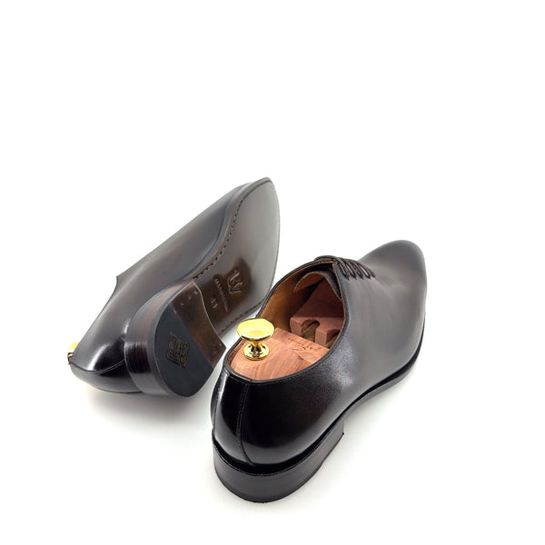 Ugo Vasare Leather Oxford - Brown