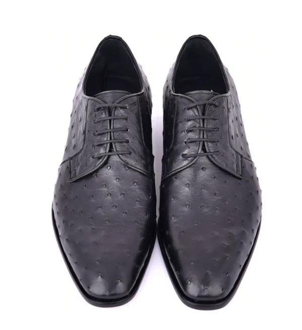Corrente Ostrich Oxford - Black