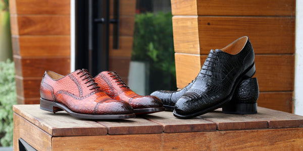 Ugo Vasare Alligator Oxford - Black