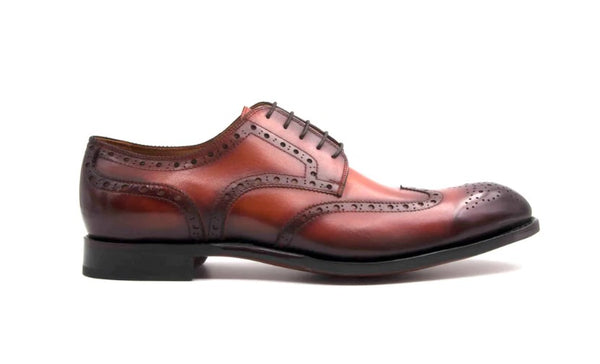 Ugo Vasare Calfskin Wingtip Oxford - Caramel