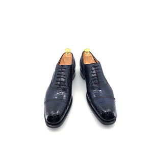 Ugo Vasare Alligator Oxford - Navy