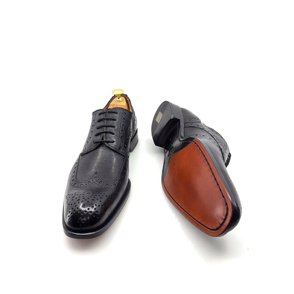 Ugo Vasare Llama Leather Wingtip Oxford - Black