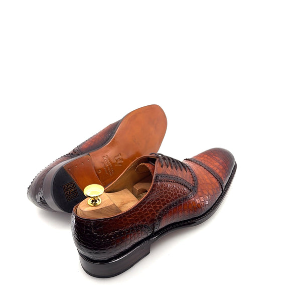 Ugo Vasare Alligator Oxford - Camel
