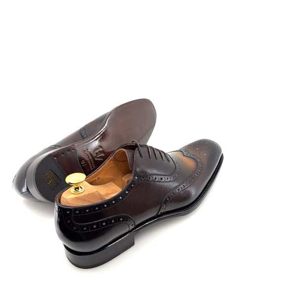 Ugo Vasare Calfskin Wingtip Oxford - Chocolate