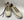 Mezlan Shoes Leather Sneaker - Bone/Multi