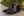 C&E Shoes Patent Leather Boot - Brown