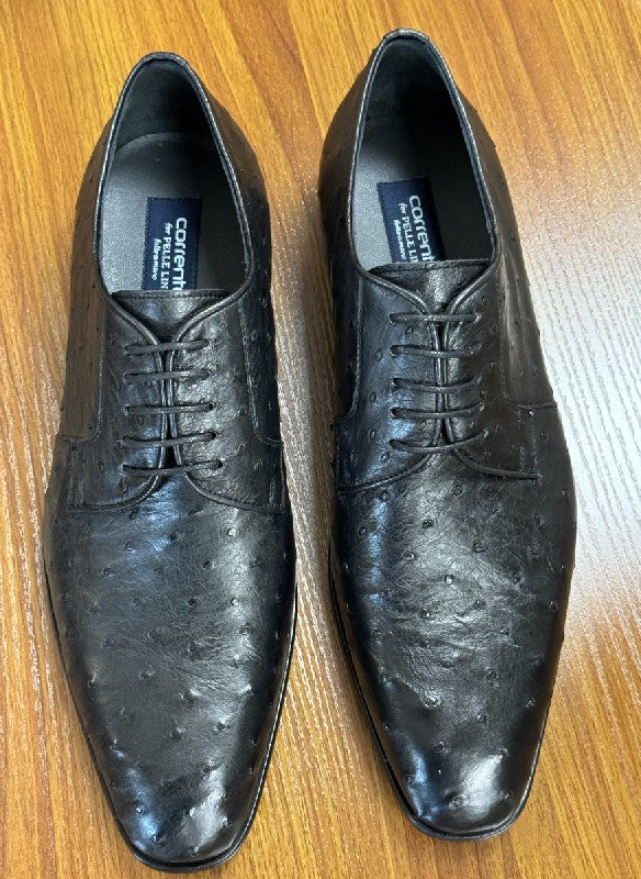 Corrente Ostrich Oxford - Black