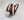 C Collection Leather Belt - Brown/White