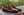 Mezlan Deerskin Penny Loafer - Cognac