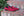 Corrente Suede Loafer - Rose