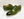 Maurice Calfskin Lace-Up Shoe - Olive