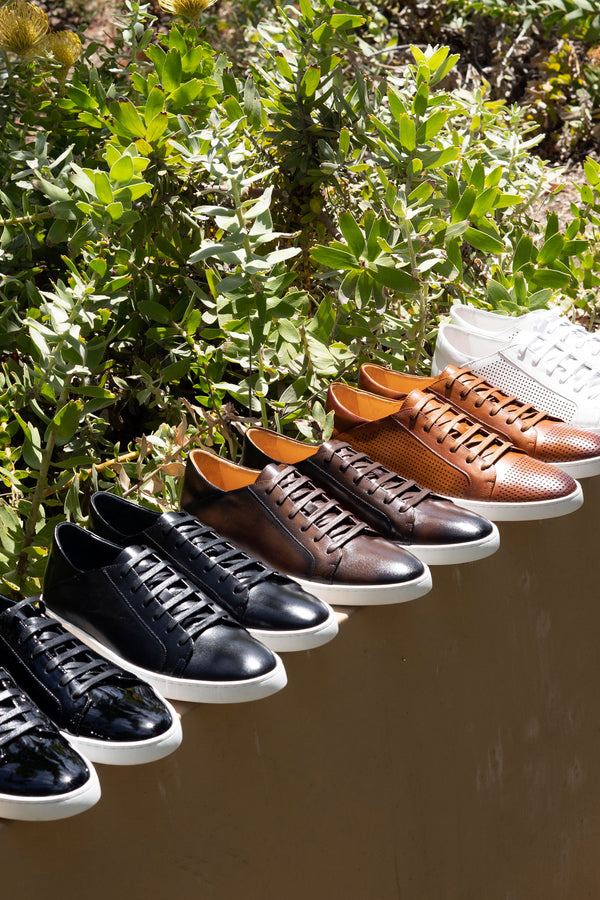C&E Shoes Calfskin Lace-Up Sneaker - Black
