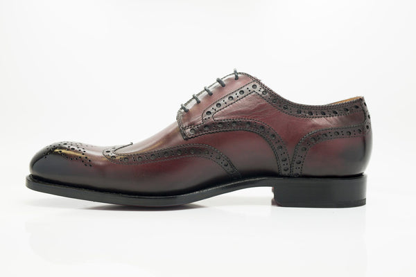 Ugo Vasare Calfskin Wingtip Oxford - Burgundy